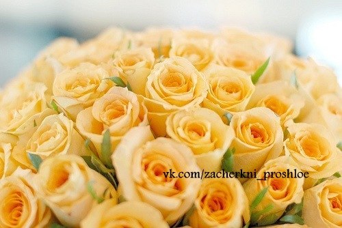 Любимым девушкам дарят цветы, а не слезы.